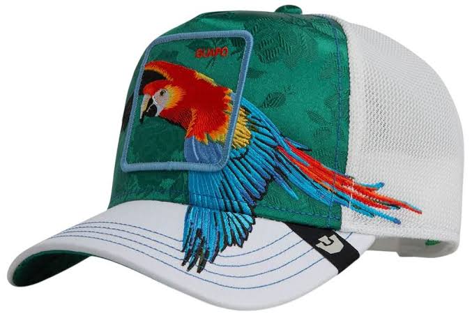 GOORIN BROS HONDURAS MACAW