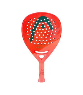 HEAD  RADICAL PRO 2026