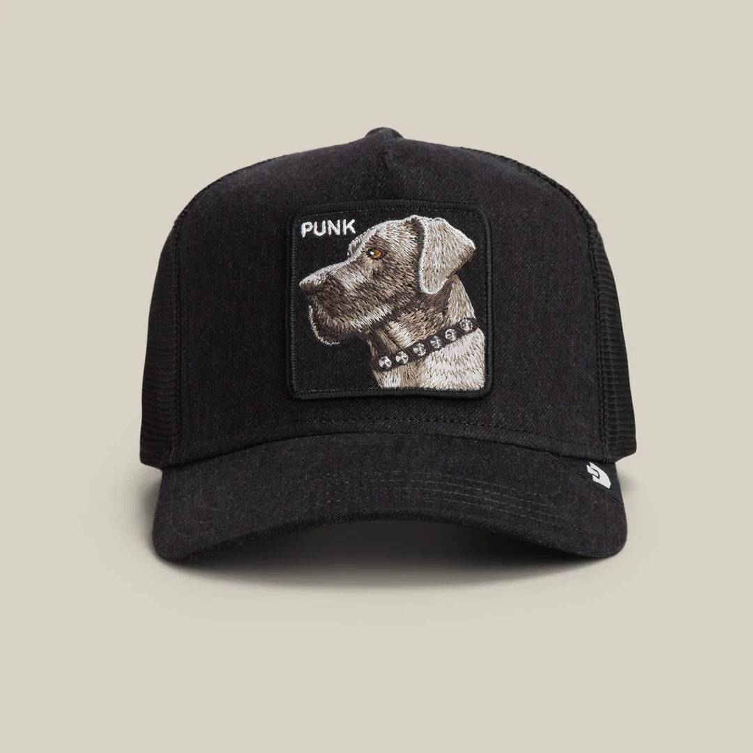GOORIN BROS PUNK DAWG