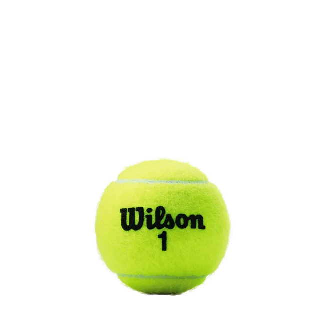 WILSON CHAMP XD TBALL 3 BALL CAN
